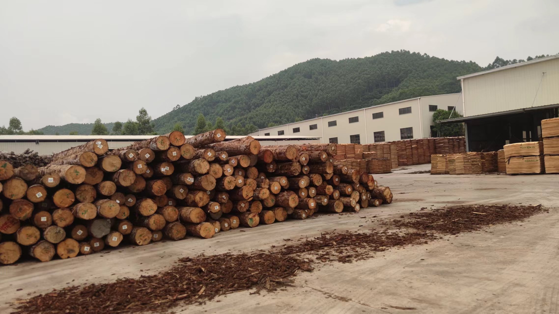 Raw Material Warehouse