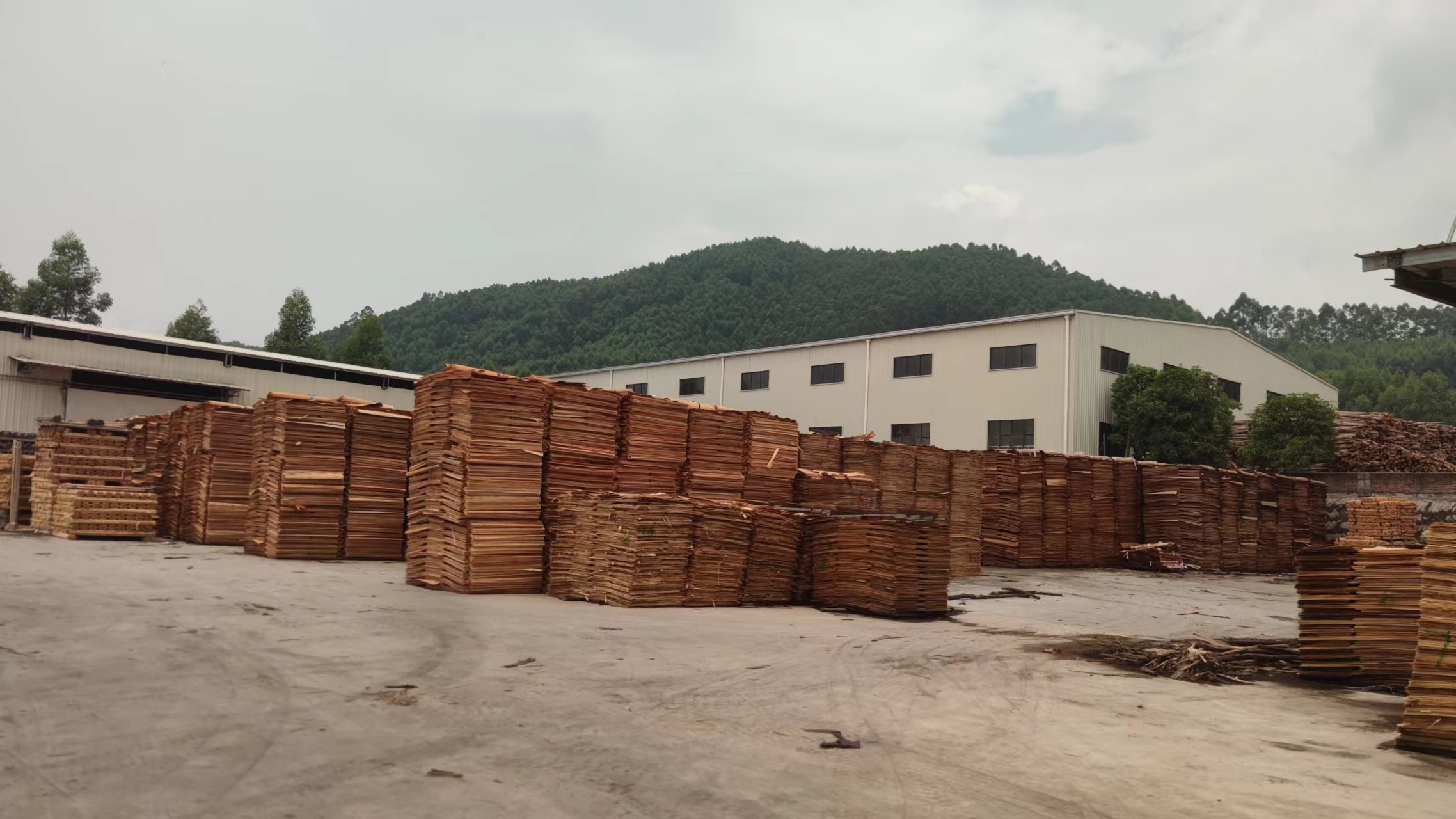 Raw Material Warehouse